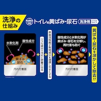 洗浄の仕組み