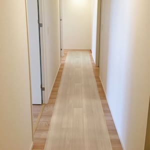 アンモニアなどのイヤな臭いを軽減します