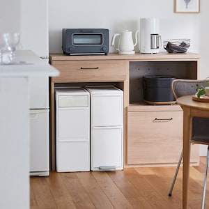 【BELLE MAISON DAYS】キッチンカウンター下縦型分別ダストボックス [日本製]