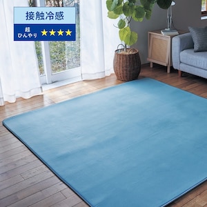 【ひえとろ】ひんやり加工をプラスしたもっちり接触冷感の低反発ウレタン入りラグ 【ひんやり】