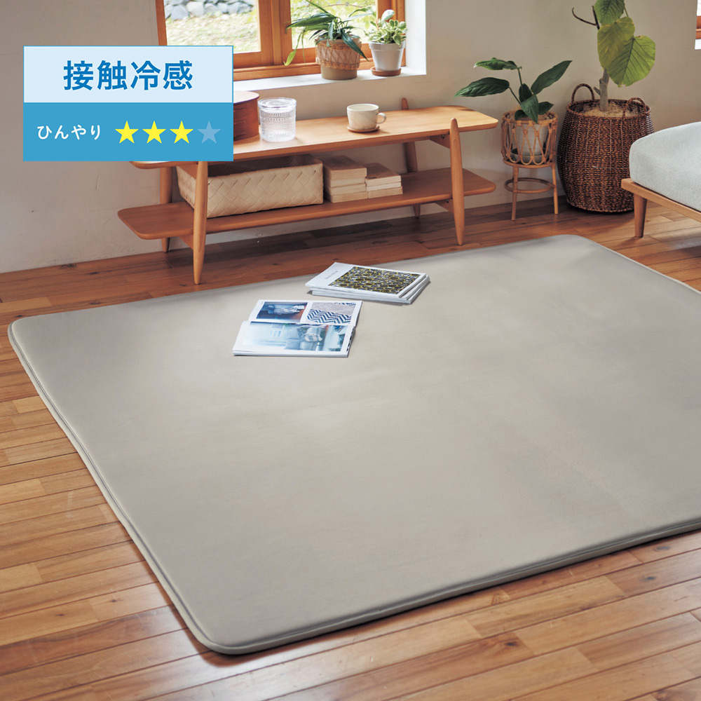 【BELLE MAISON DAYS】接触冷感 & 吸水速乾の低反発ウレタン入りラグ 【ひんやり】