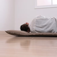 頭部分にはまくらが付いています。