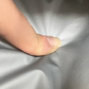 内側はクッション性のある保冷シート