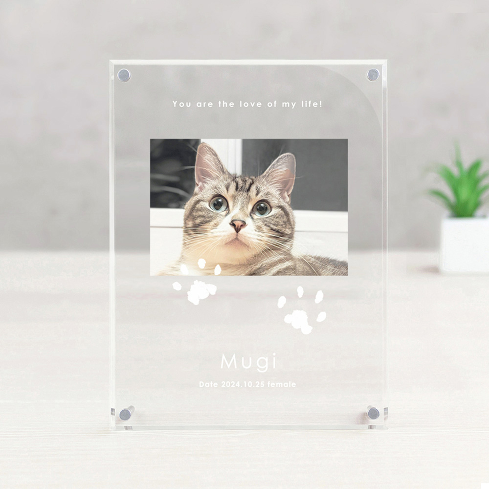 【ベルメゾン】うちのこの手形が残せるアクリルフォトフレーム お仕立券