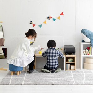使用イメージ/ロースタイル