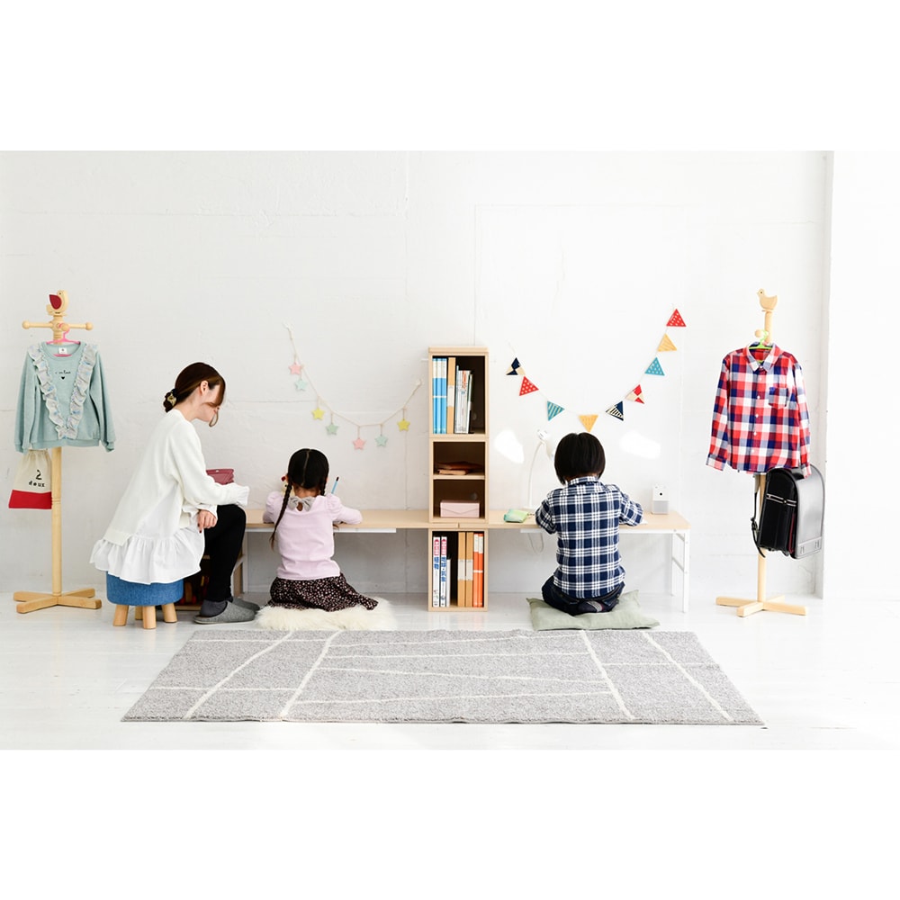 使用イメージ/ロースタイル
