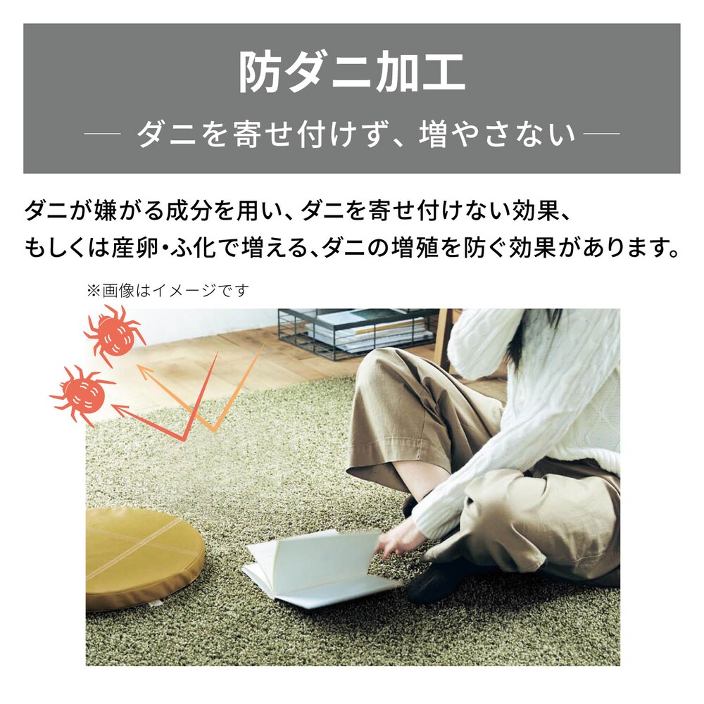 ※表地のみ