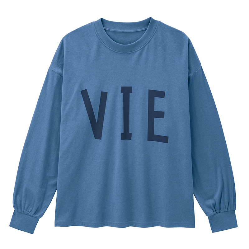 グレイッシュブルー（ＶＩＥ）