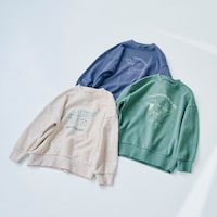 恐竜　※こちらの画像が最も近いお色味です。