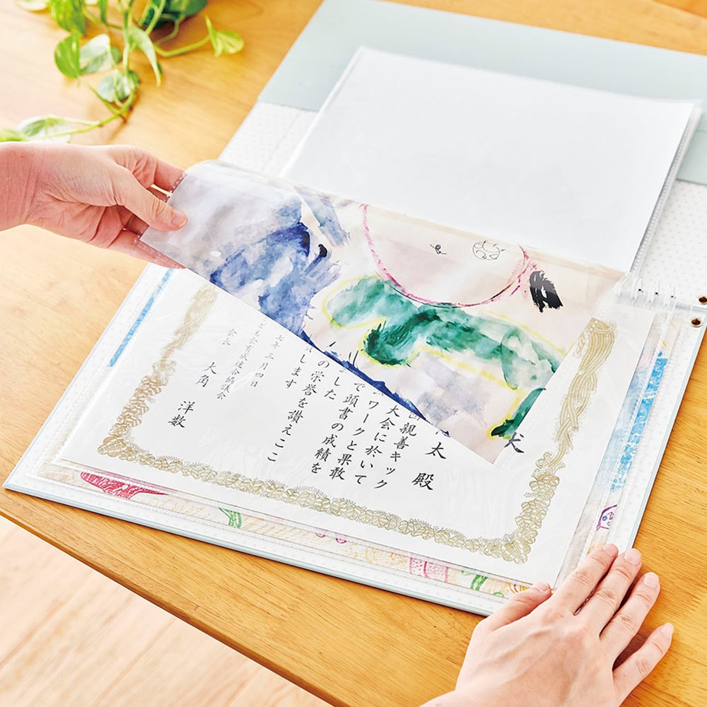 2、アルバムとして収納