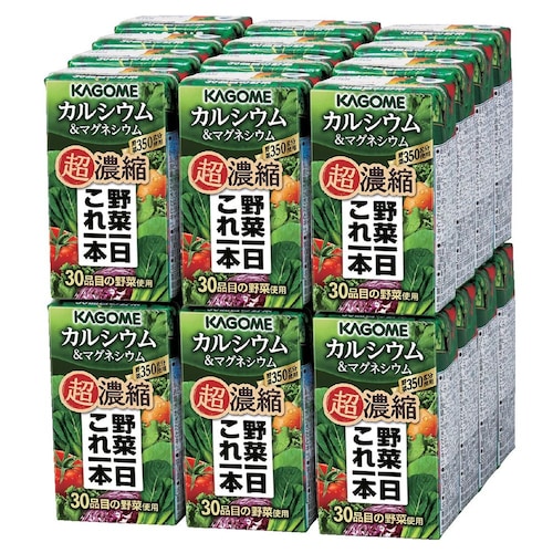 【フードロス対策】【20％OFF】 超濃縮野菜一日これ一本 カルシウム＆マグネシウム 125ml×24本 （賞味期限2025年4月29日）