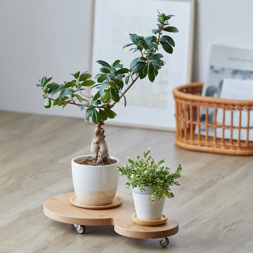 観葉植物の移動が楽にできる天然木のダブルプランターワゴン