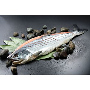 【ベルメゾン】【フードロス対策】【20%OFF】 北海道産新巻鮭姿切れ目入り1.6kg