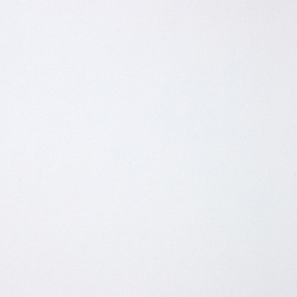 ソリッドホワイト
