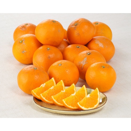 【予約商品】【フードロス対策】【特別価格】 和歌山県産訳あり木熟清見オレンジ 3kg（ご注文締切：3月5日） （お届け：3月上旬～中旬）