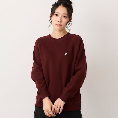 裏シャギースウェットプルオーバー