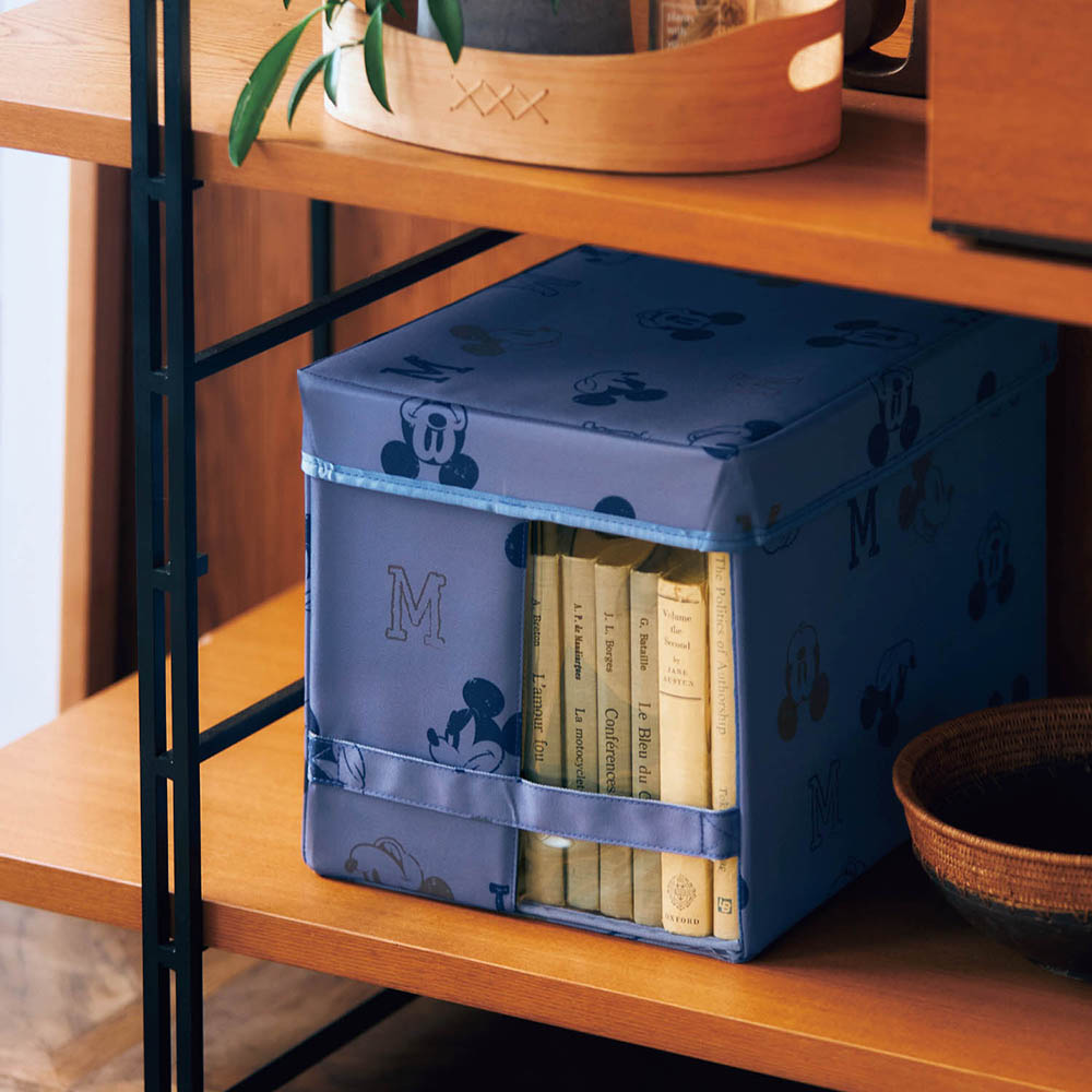 【ディズニー/Disney】中身が見える収納ボックス 「ディズニーシリーズ」