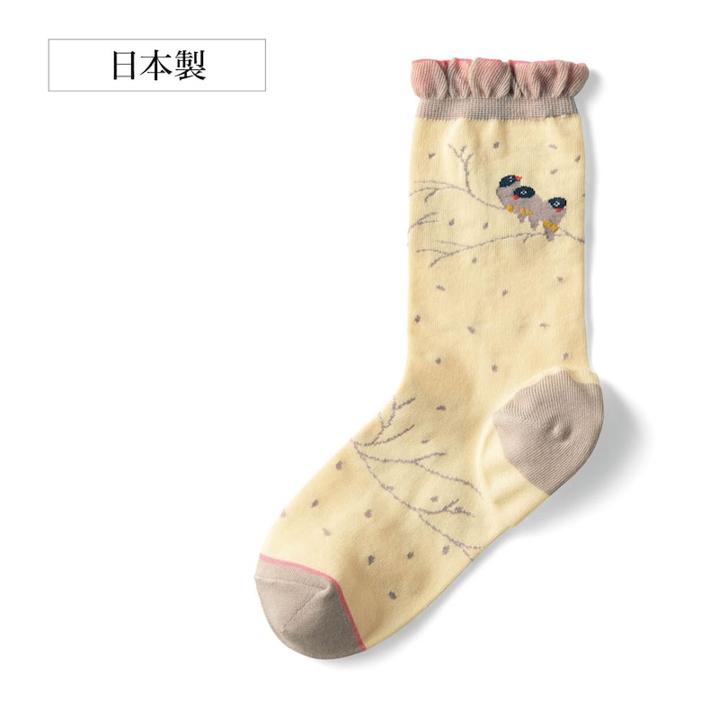 小鳥