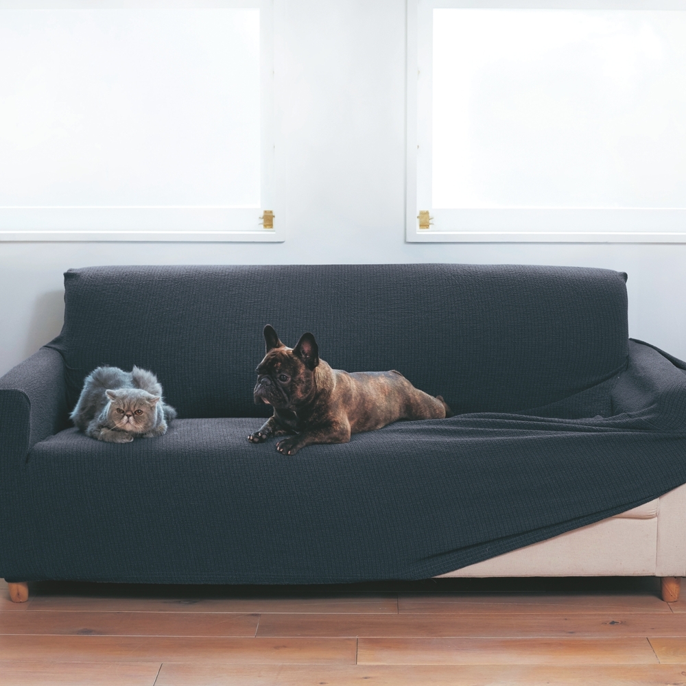 【ベルメゾン】ペットとの暮らしを考えた撥水・抗菌防臭ソファーカバー 【選べる9サイズ】 【ベルメゾン】ペットとの暮らしを考えた撥水・抗菌防臭ソファーカバー 【選べる9サイズ】