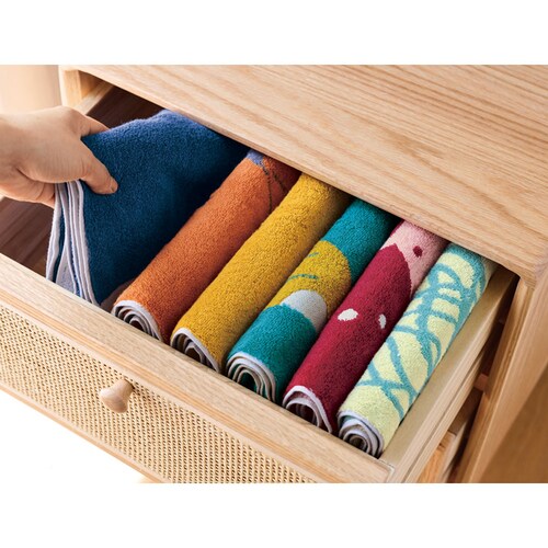 【定期お届け】 今治産しっかり拭けるスリムタオル ：6回シリーズ