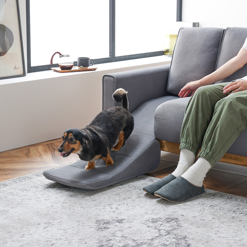 スロープ付きで小型犬やシニア犬にも優しい設計/スモーキーグレー
