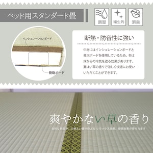 床板部アップ
