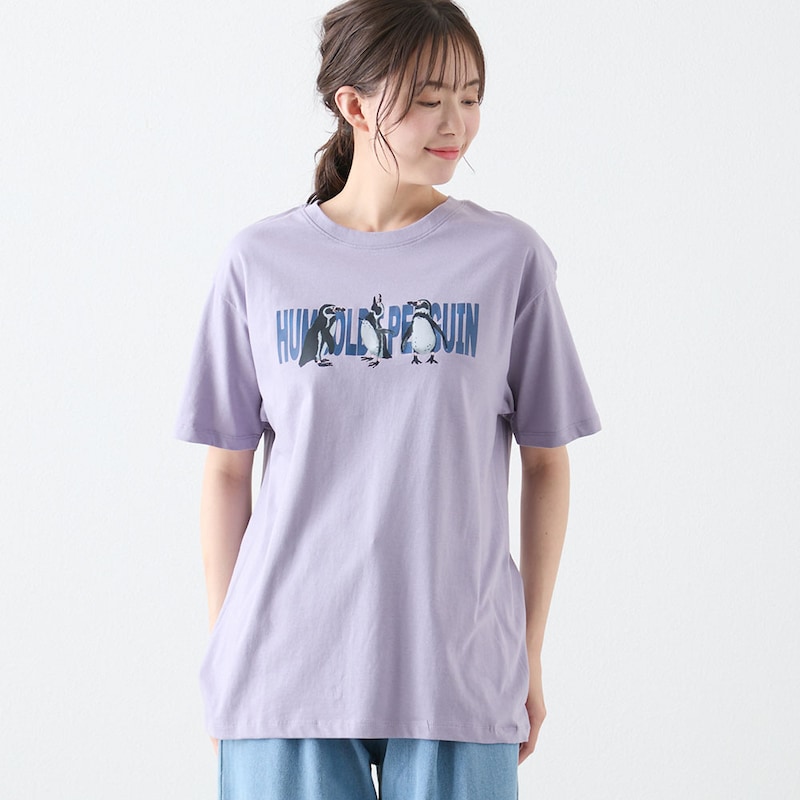 ラベンダー