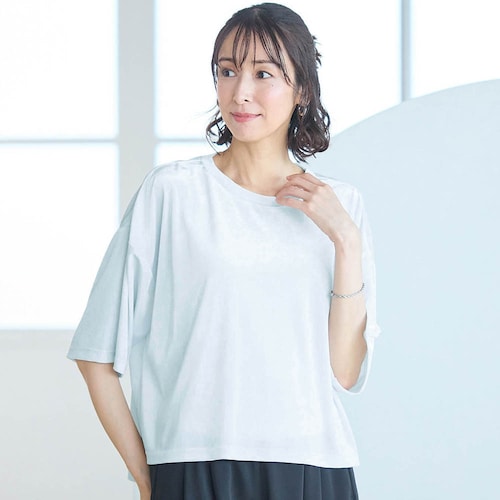 オトナスリーブシアーベロアＴシャツ