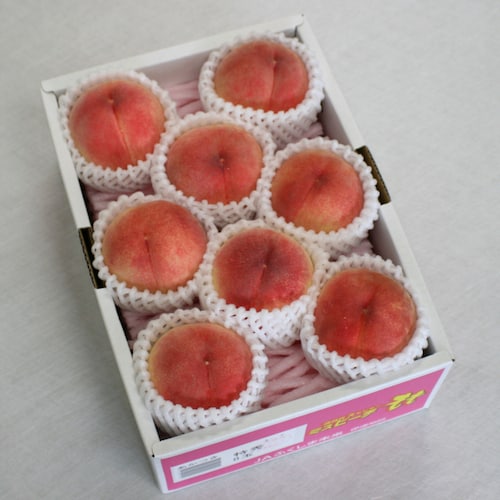 【予約商品】【お中元・おとりよせ】 福島県産 ミスピーチプレミアム 【ご注文は7月27日まで】