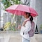 傘の雨シャット2個セット