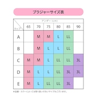 サイズ表