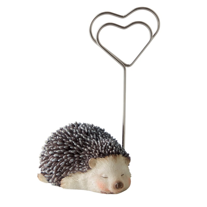 カードホルダー：幅6×奥行4×高さ11cm