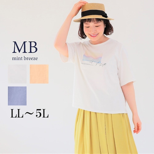 グラフィックTシャツ 【大きいサイズ】