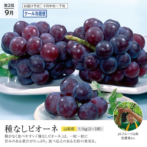 【定期お届け】【送料無料】 果物讃歌フルーツ頒布会 ：6回シリーズ