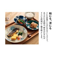 ※画像は別売りの「パスタ皿」「お皿」も含まれます。