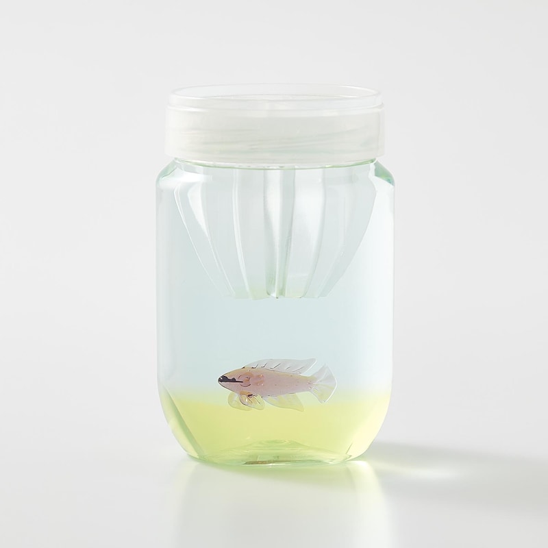 オーキッドドティバック