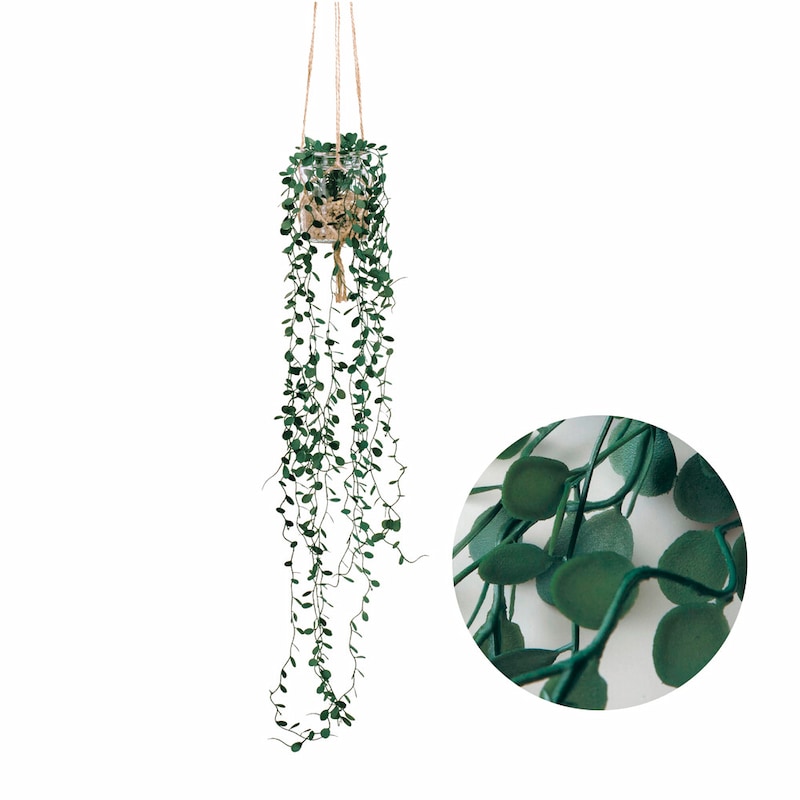 ワイヤープランツ