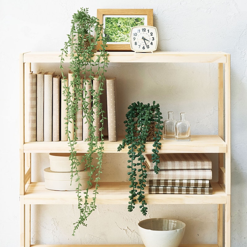 棚に置いてディスプレイ