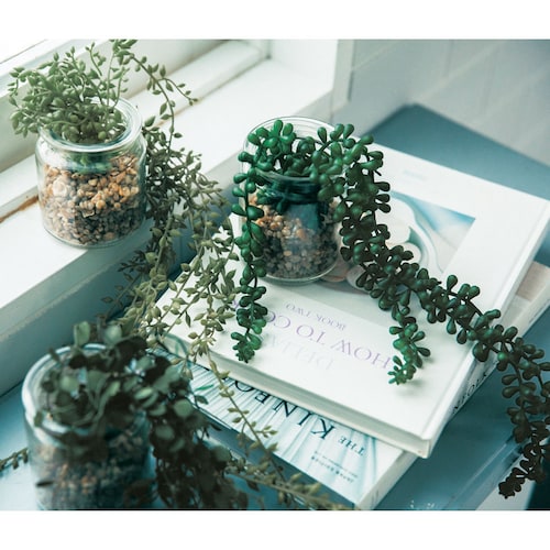 【定期お届け】 CT触媒加工のガラス瓶に入った掛置兼用フェイクグリーン ：3回シリーズ