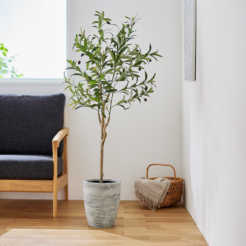 ※鉢カバーは付属しておりません。