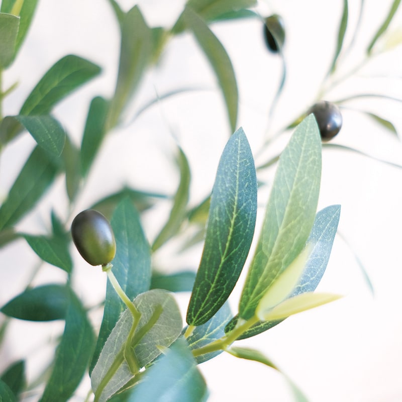 CT触媒加工を施しているので消臭・抗菌効果が期待できます