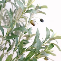 本物の観葉植物のような自然な質感も魅力