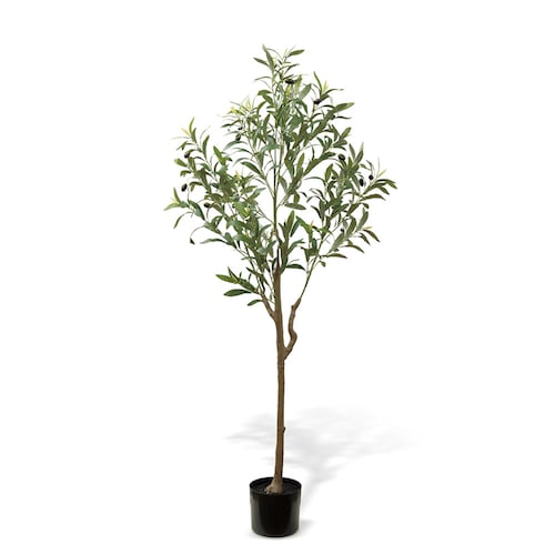 CT触媒加工の組立式フェイクグリーン「オリーブ」＜高さ約137cm＞