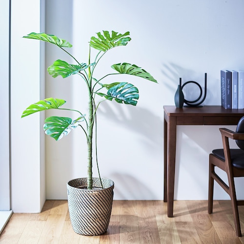 CT触媒加工の組立式フェイクグリーン「モンステラ」＜高さ約130cm＞