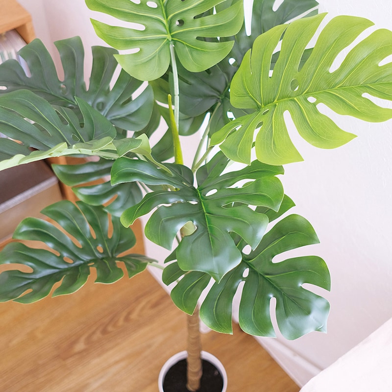 CT触媒加工を施しているので、置いておくだけで消臭・抗菌効果が期待