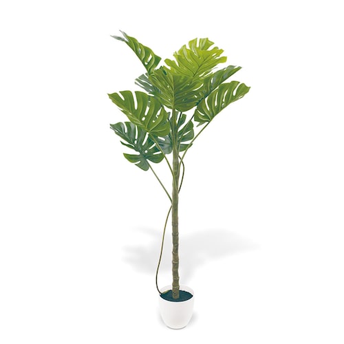 CT触媒加工の組立式フェイクグリーン「モンステラ」＜高さ約130cm＞