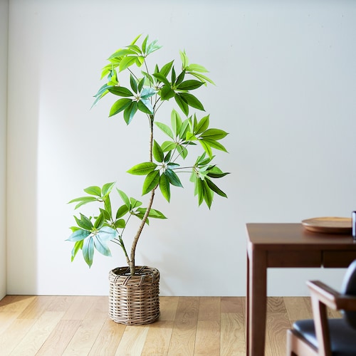 CT触媒加工の組立式フェイクグリーン「パキラ」＜高さ約140cm＞