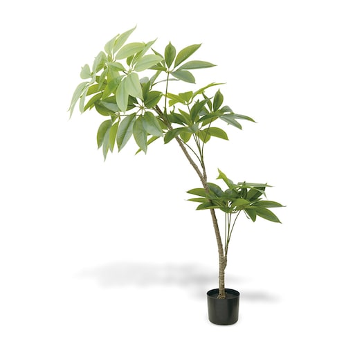 CT触媒加工の組立式フェイクグリーン「パキラ」＜高さ約140cm＞