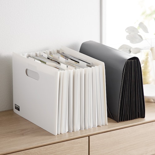 サクっと整理！じゃばらファイル ＜同色同タイプ2個組＞