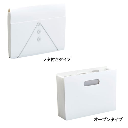 サクっと整理！じゃばらファイル ＜同色同タイプ2個組＞